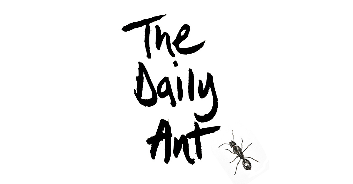 The Daily Ant