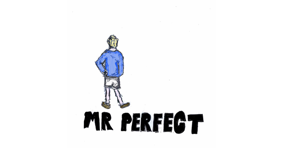 Mr Perfect